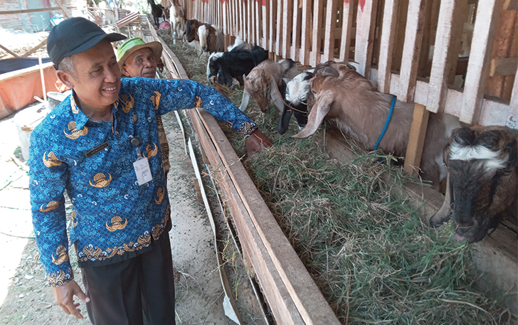 kelometahanan-pangankandang-komunal-mendo-miri-makmur